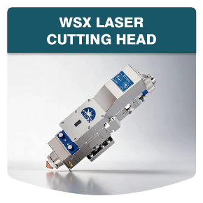 Picture for category WSX Laser Cutting Head